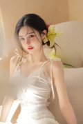 有哪些亮点？公开资